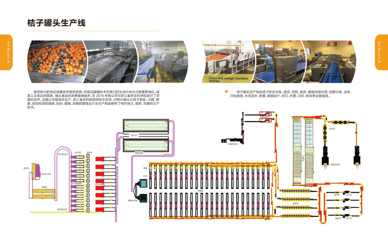 桔子剥皮机生产线